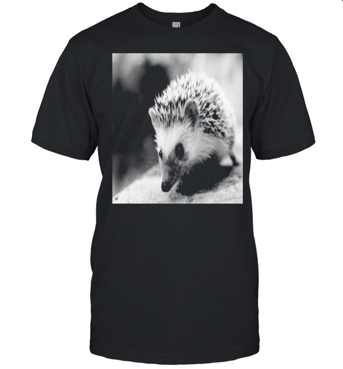 Sweet Hedgehog in autumn Shirt
