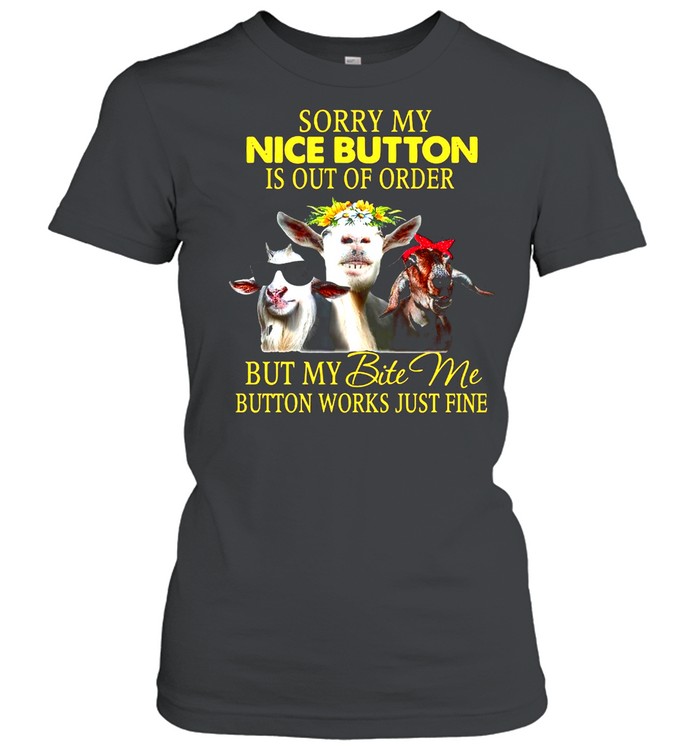 Sorry My Nice Button Is Out Of Order But My Bite Me Button Works Just Fine T-shirt Classic Women's T-shirt