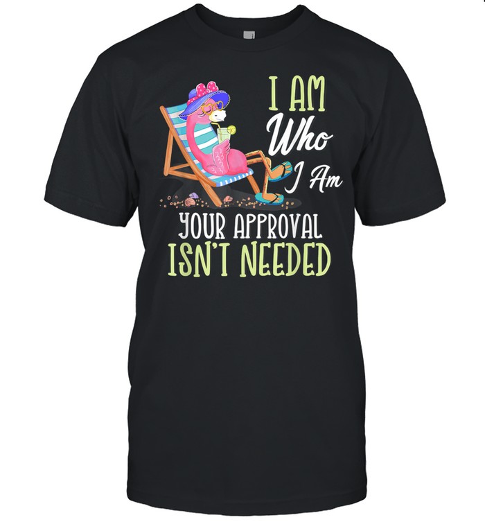 I am and Your Approval Isn't Needed Funny Flamingo  Classic Men's T-shirt