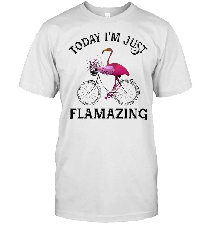 Today I’m Just Flamazing Flamingo T-shirt Classic Men's T-shirt