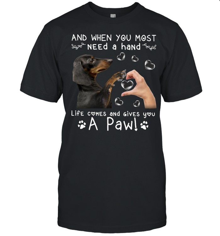 Dachshund And When You Most Need A Hand Life Comes And Gives You A Paw T-shirt