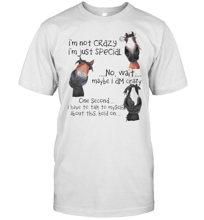 I’m not Crazy I’m Just Special No Wait Maybe I Am Crazy One Second I Have To Talk To Myself About This Hold On  Classic Men's T-shirt