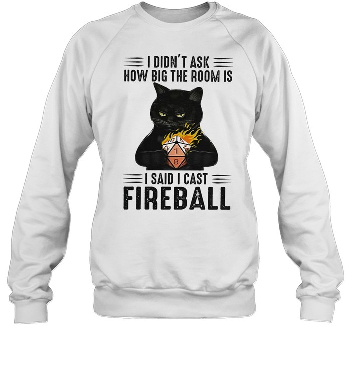 Black Cat I didnt ask how big the room is I said I cast fireball shirt Unisex Sweatshirt