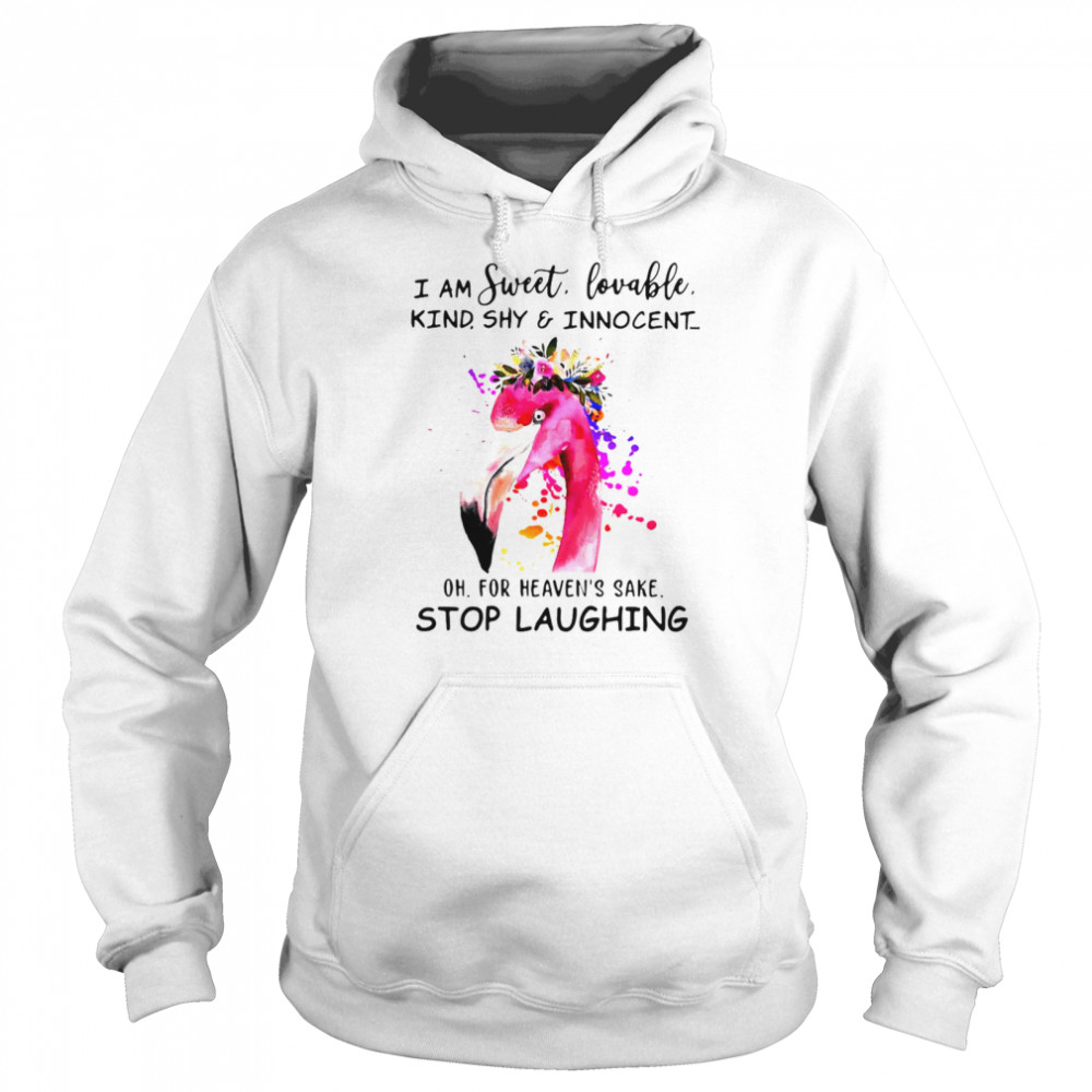 Flamingo I Am Sweet Lovable Kind Shy And Innocent Oh For Heaven’s Sake Stop Laughing  Unisex Hoodie