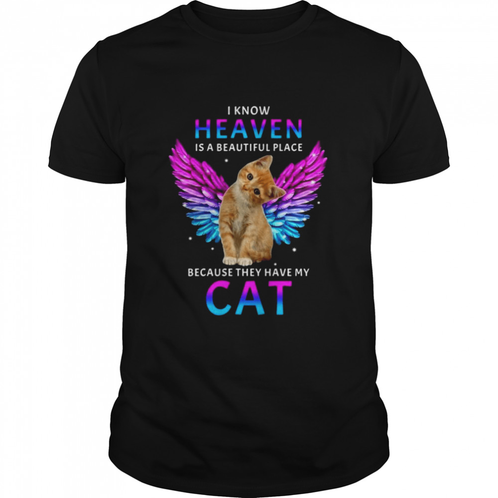 Cat Angel I Know Heaven Is A Beautiful Place Because They Have My Cat T-shirt