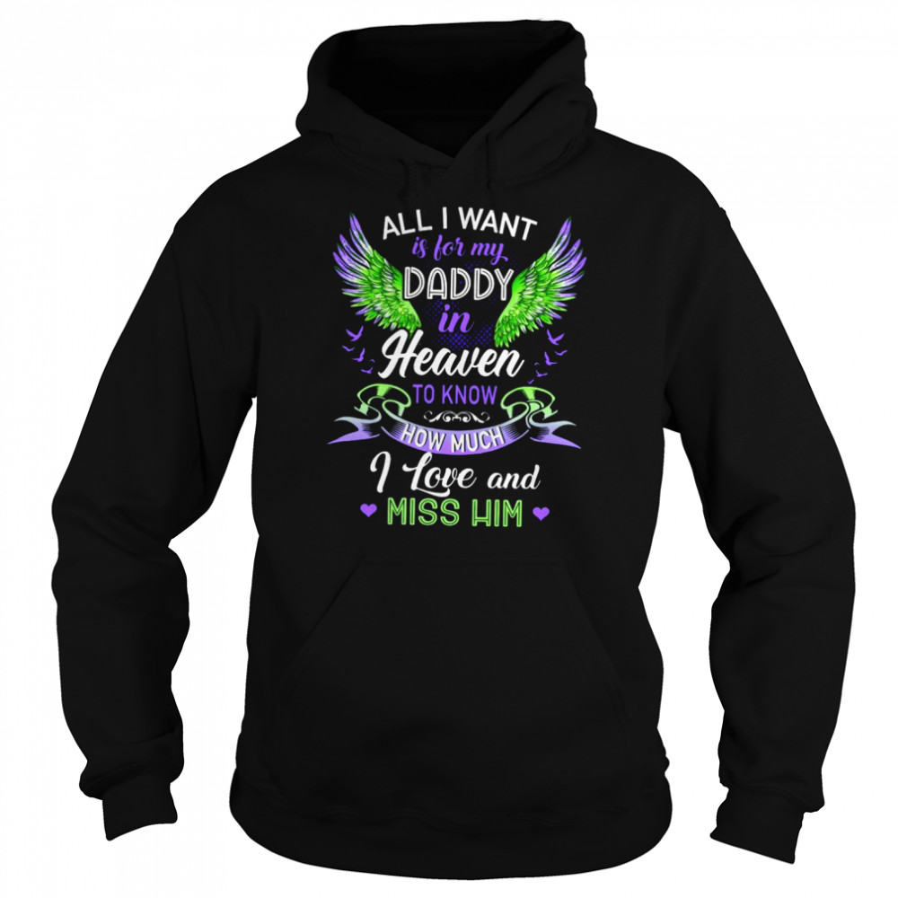 All i want is for my daddy in heaven to know how much shirt Unisex Hoodie