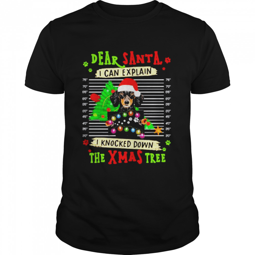 Dachshund Dog Dear Santa I Can Explain I Knocked Down The Xmas Tree Sweater T-shirt