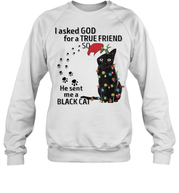 I asked god for a true friend so he sent me a Black Cat Santa light Merry Christmas shirt Unisex Sweatshirt