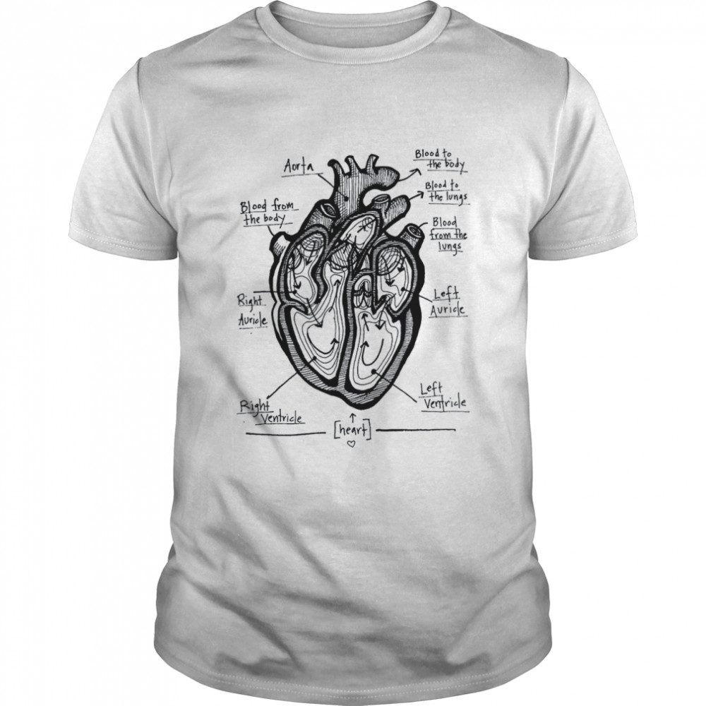 Aorta blood from the body right auricle right ventricle heart shirt