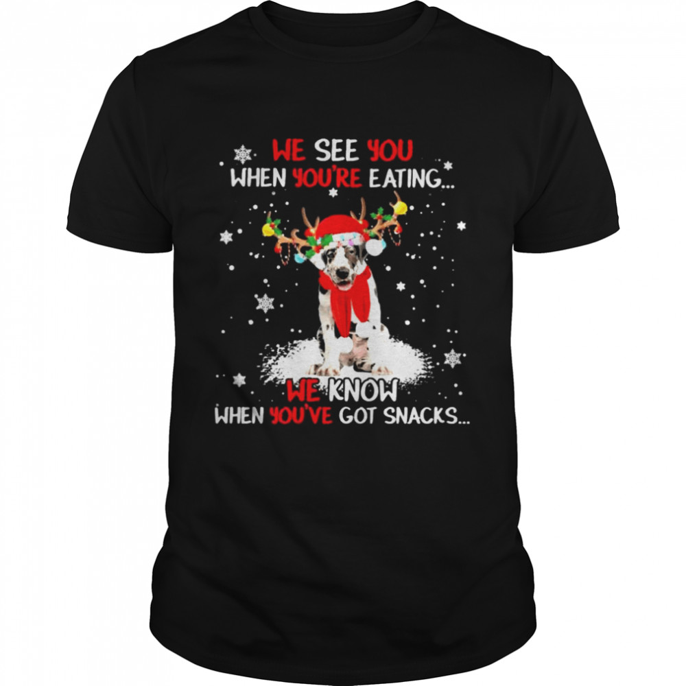 Great Dane we see You when youre eating we know when youre got snacks Christmas shirt