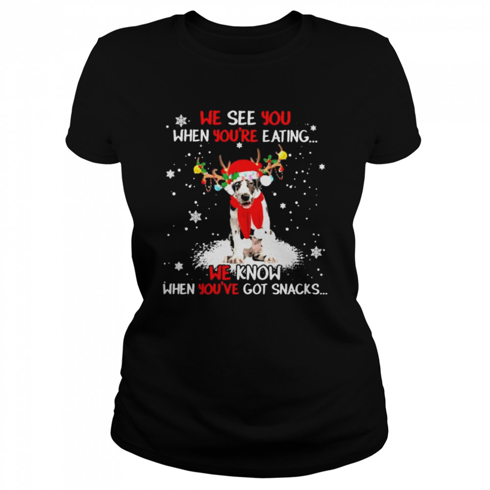 Great Dane we see You when youre eating we know when youre got snacks Christmas shirt Classic Women's T-shirt