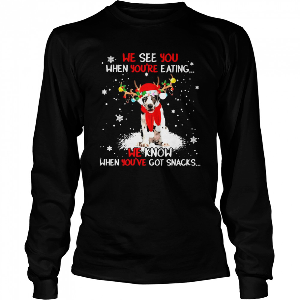 Great Dane we see You when youre eating we know when youre got snacks Christmas shirt Long Sleeved T-shirt