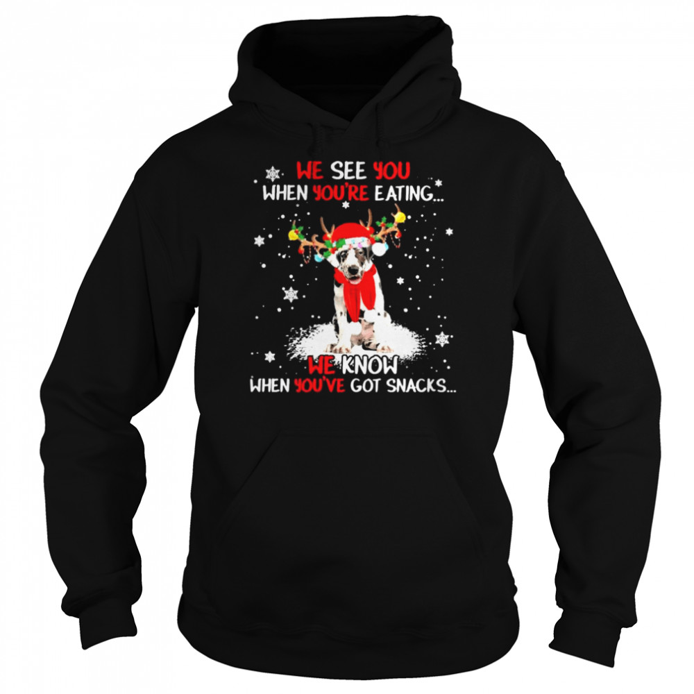 Great Dane we see You when youre eating we know when youre got snacks Christmas shirt Unisex Hoodie