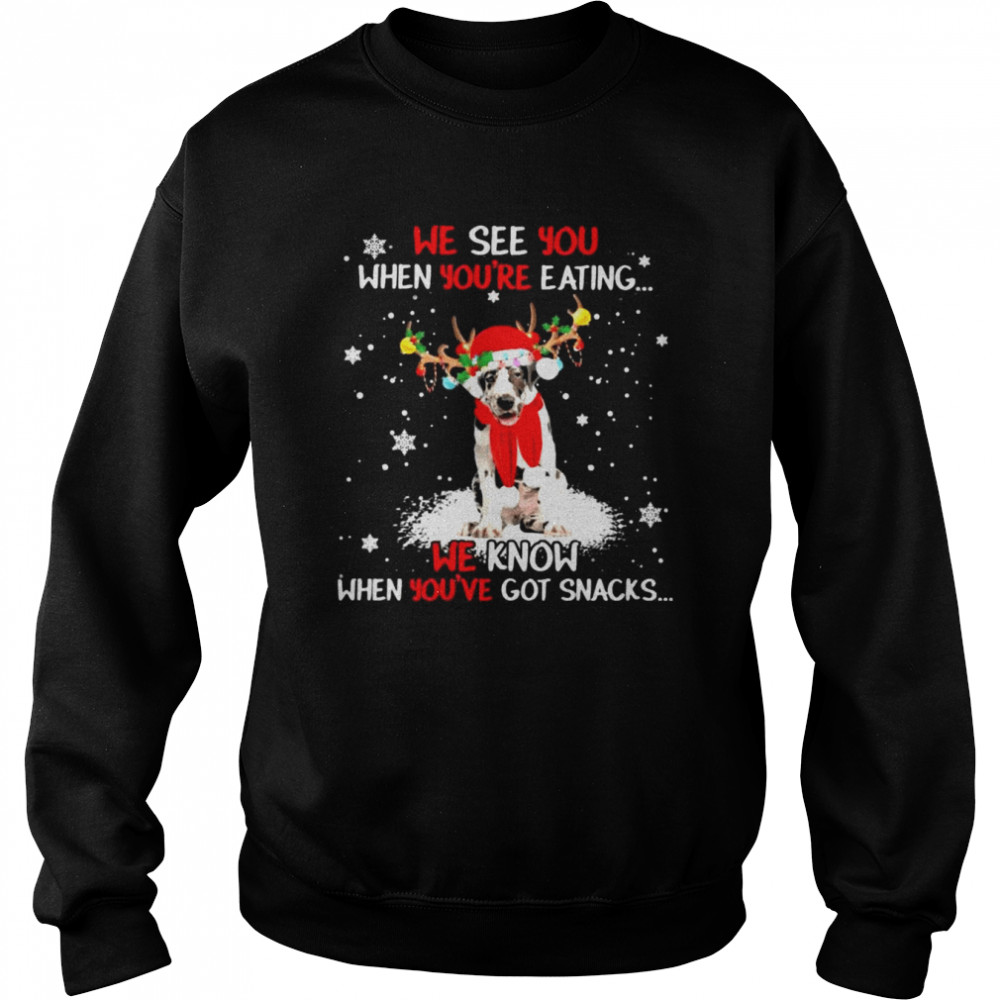Great Dane we see You when youre eating we know when youre got snacks Christmas shirt Unisex Sweatshirt