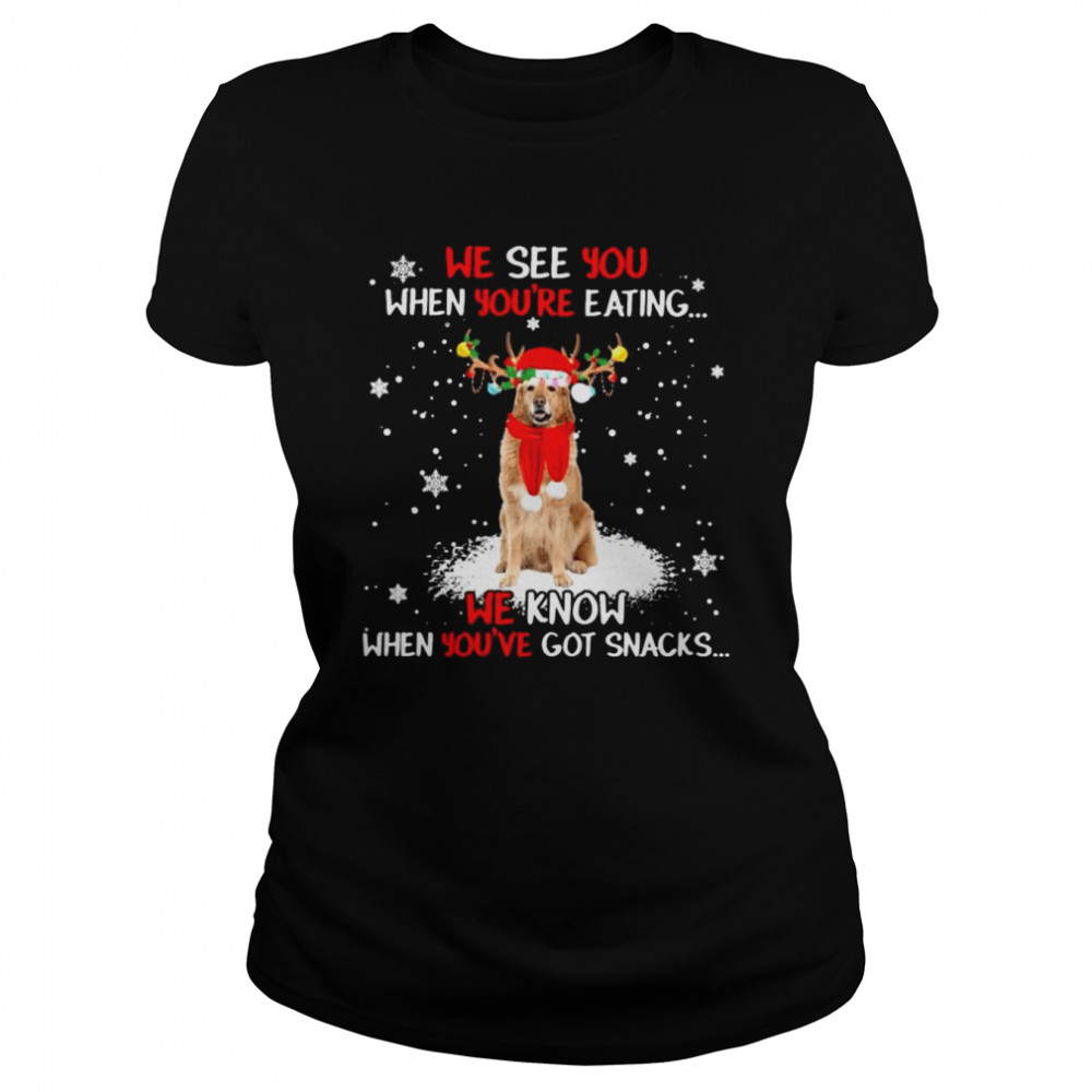 Hovawart we see You when youre eating we know when youre got snacks Christmas shirt Classic Women's T-shirt