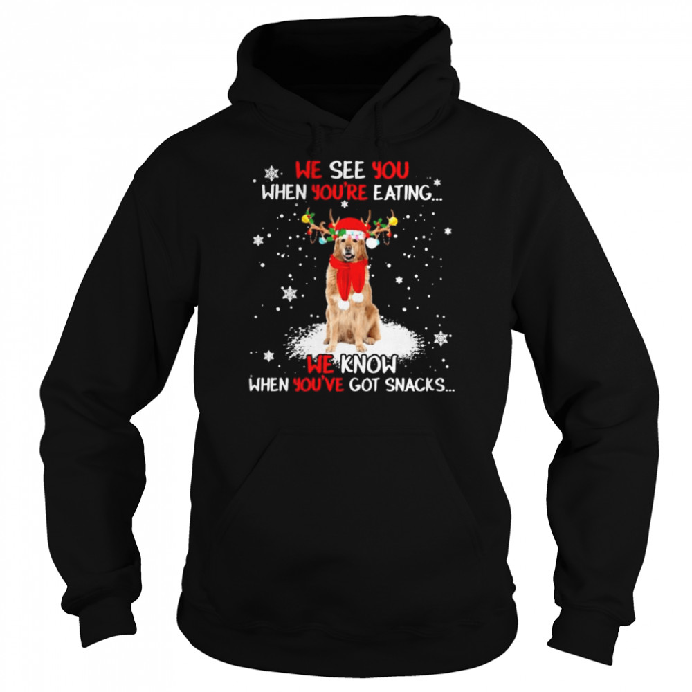 Hovawart we see You when youre eating we know when youre got snacks Christmas shirt Unisex Hoodie