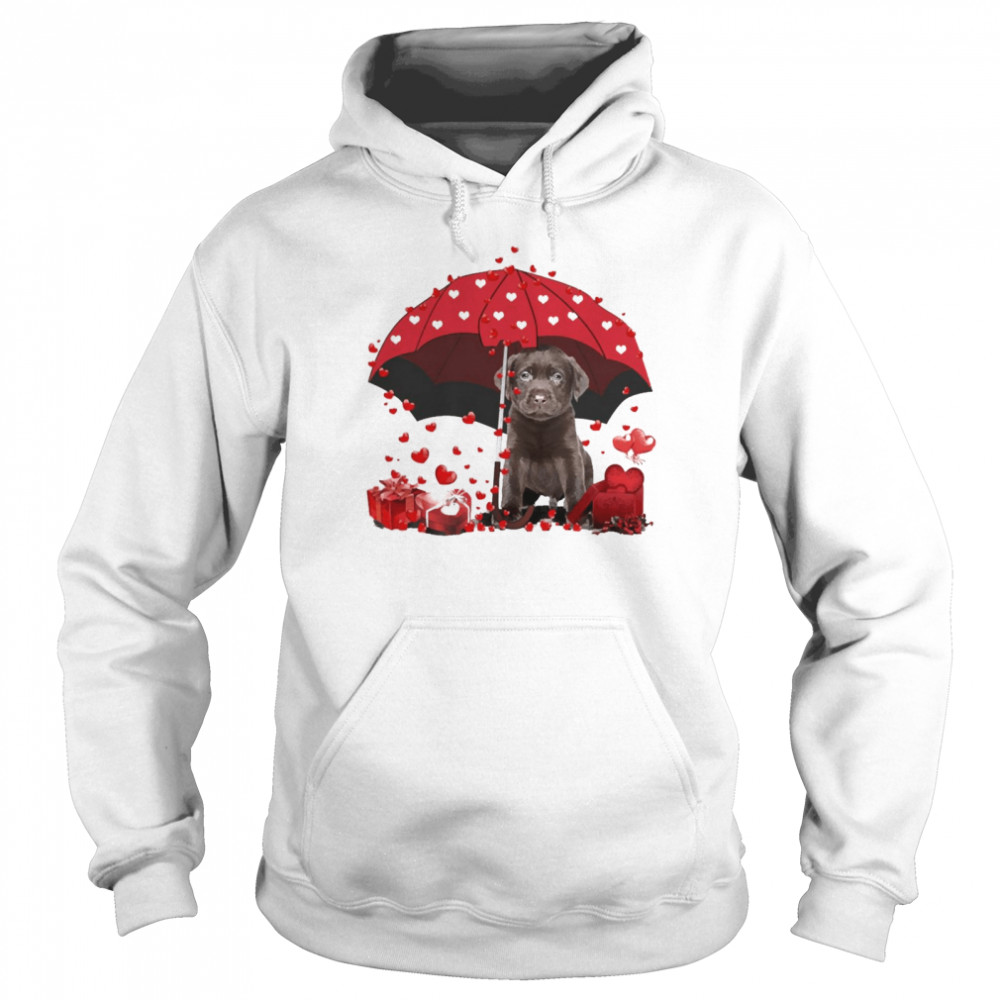 Loving Red Umbrella Chocolate Labrador Christmas Sweater Unisex Hoodie