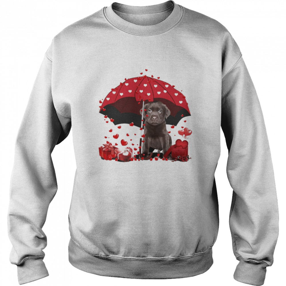 Loving Red Umbrella Chocolate Labrador Christmas Sweater Unisex Sweatshirt