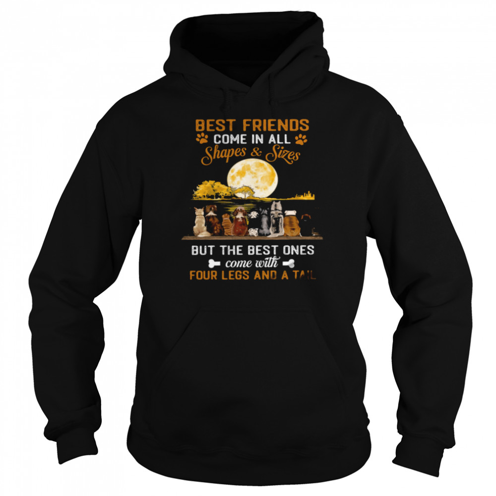 Best Friends Come In All Shapes Sizes But The Best Ones Come With Four Legs And A Tail Unisex Hoodie