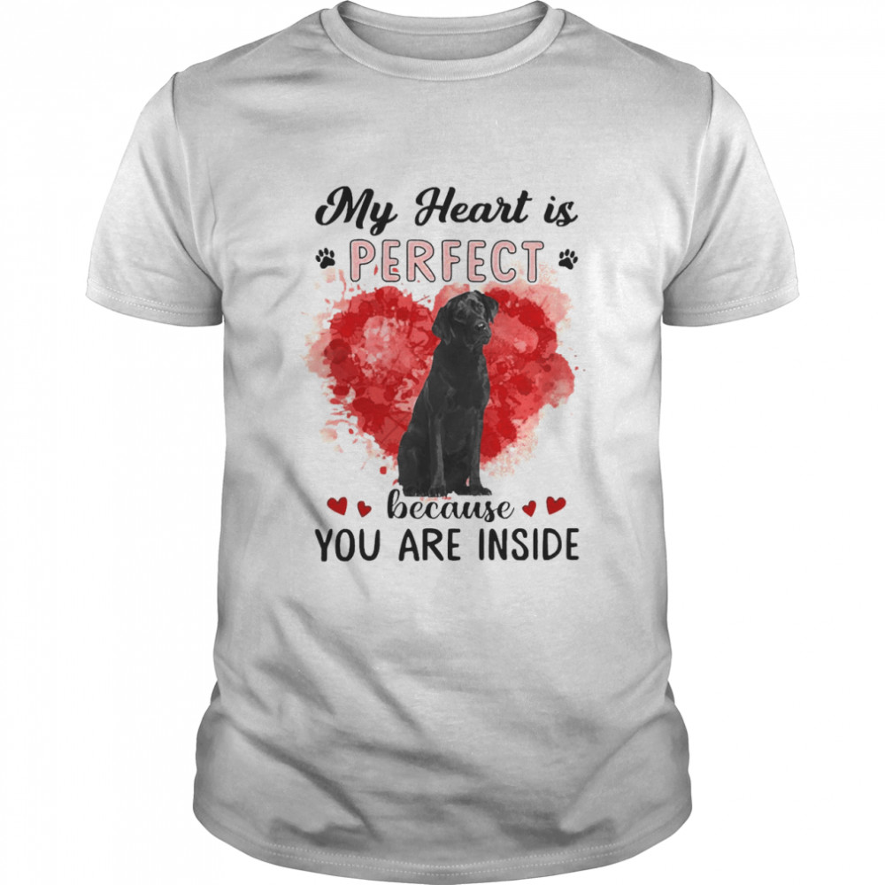 My Heart Is Perfect Because You Are Inside Black Labrador Shirt