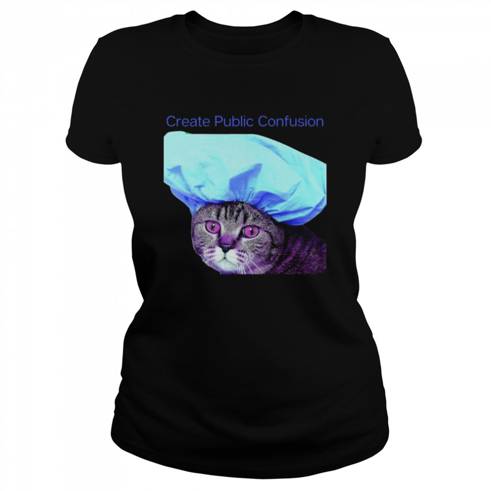 Confrontational Cats Create Public Confusion  Classic Women's T-shirt