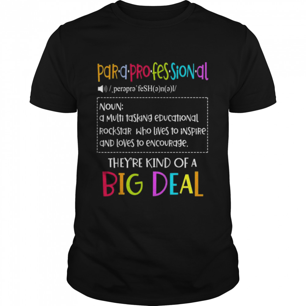 Para Professional Elementary School Lesson Teachers shirt