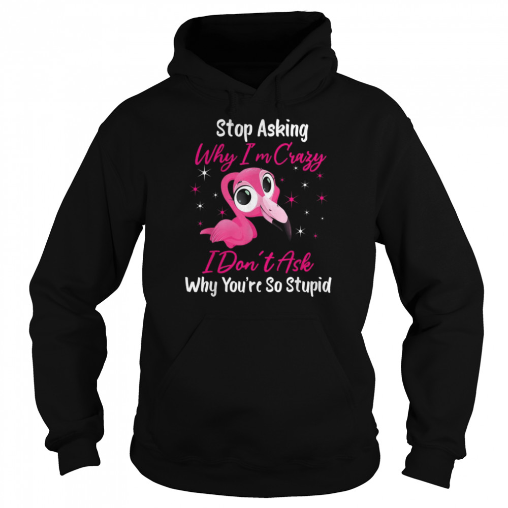 Stop Asking Me Why Im Crazy FlamingoFlamingo Design  Unisex Hoodie