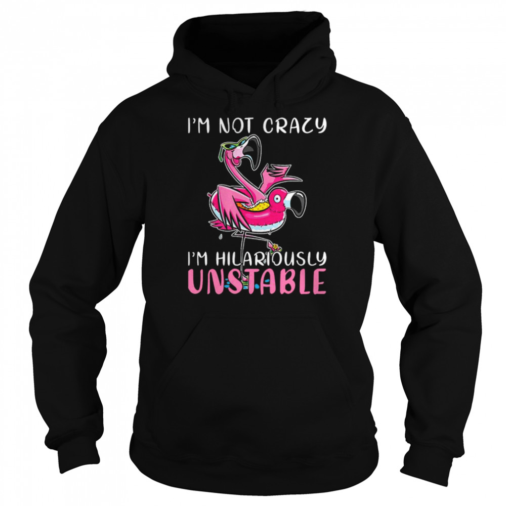 Flamingo I’m not lazy I’m hilariously unstable shirt Unisex Hoodie