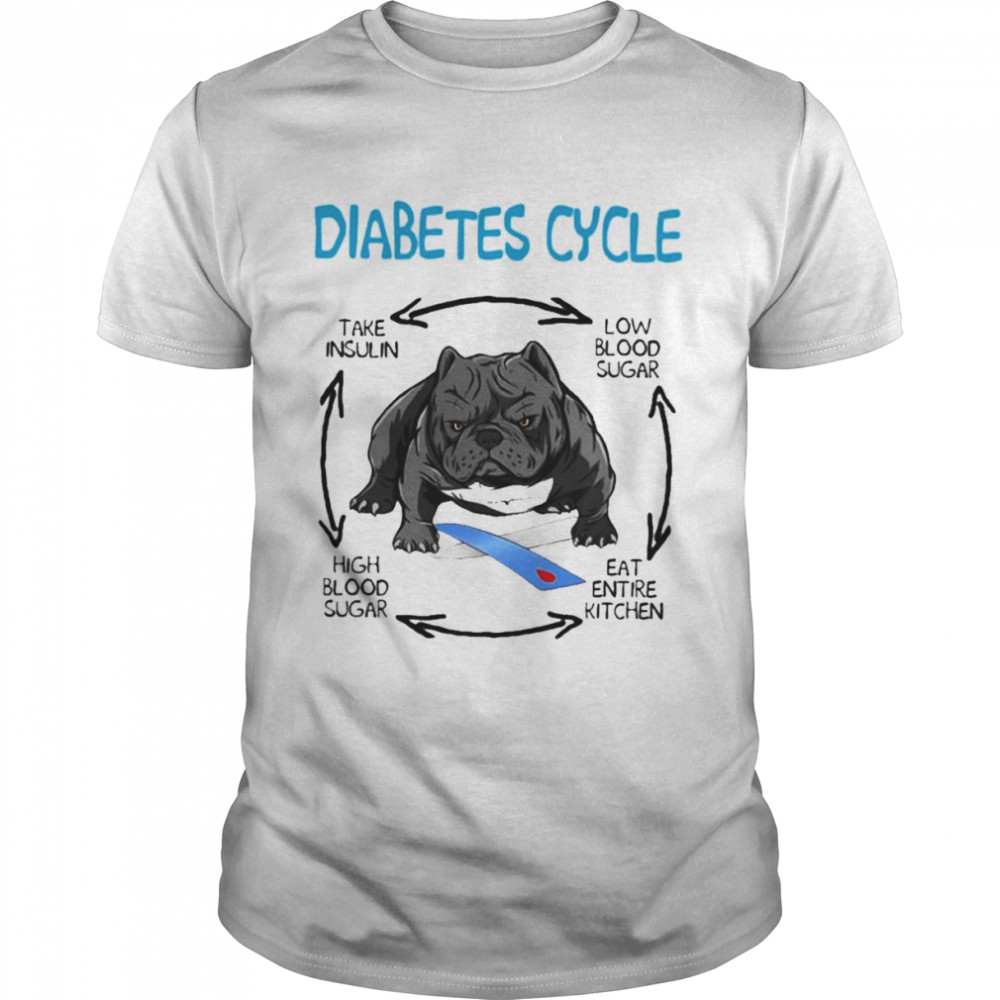 PitBull diabetes cycle take insulin low blood sugar high blood sugar eat entire kitchen shirt