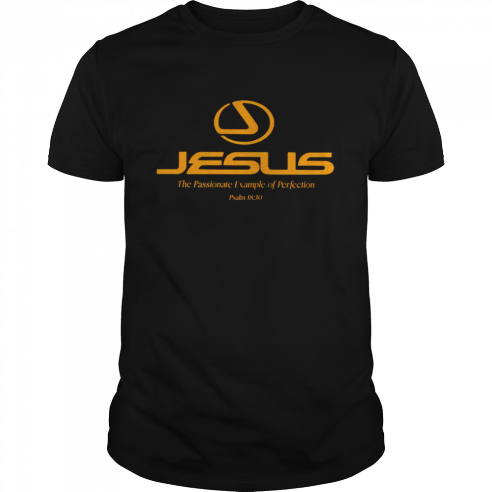 Jesus the passionate example of perfection shirt