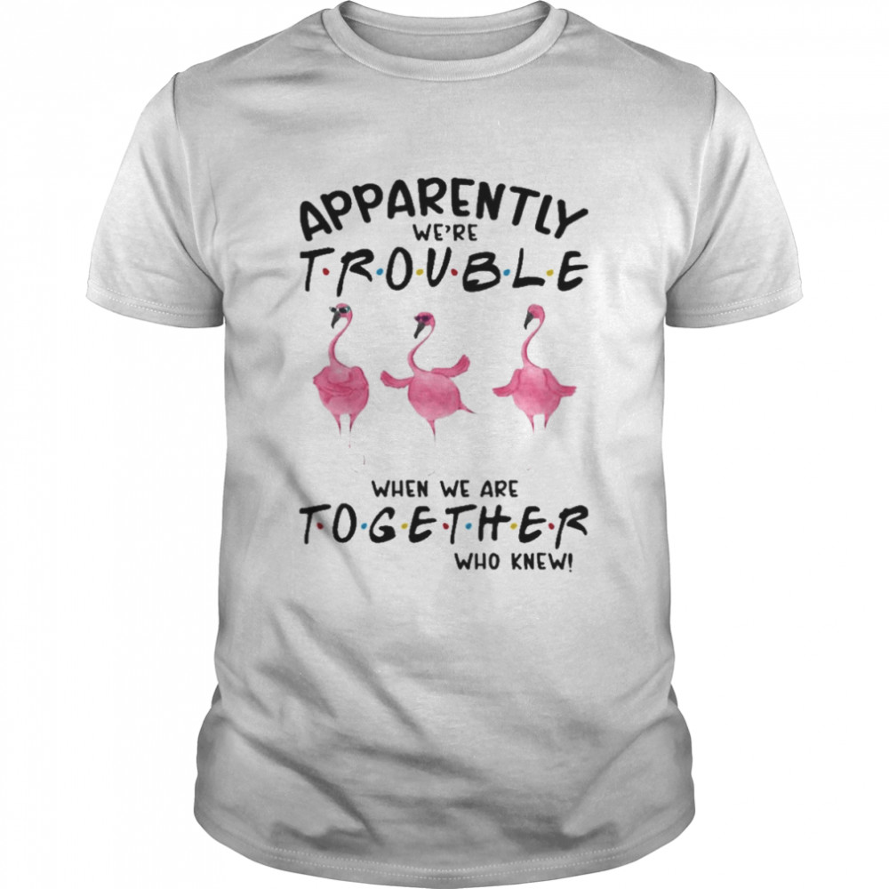 Flamingos apparently we’re trouble when we are together who knew 2022 shirt Classic Men's T-shirt