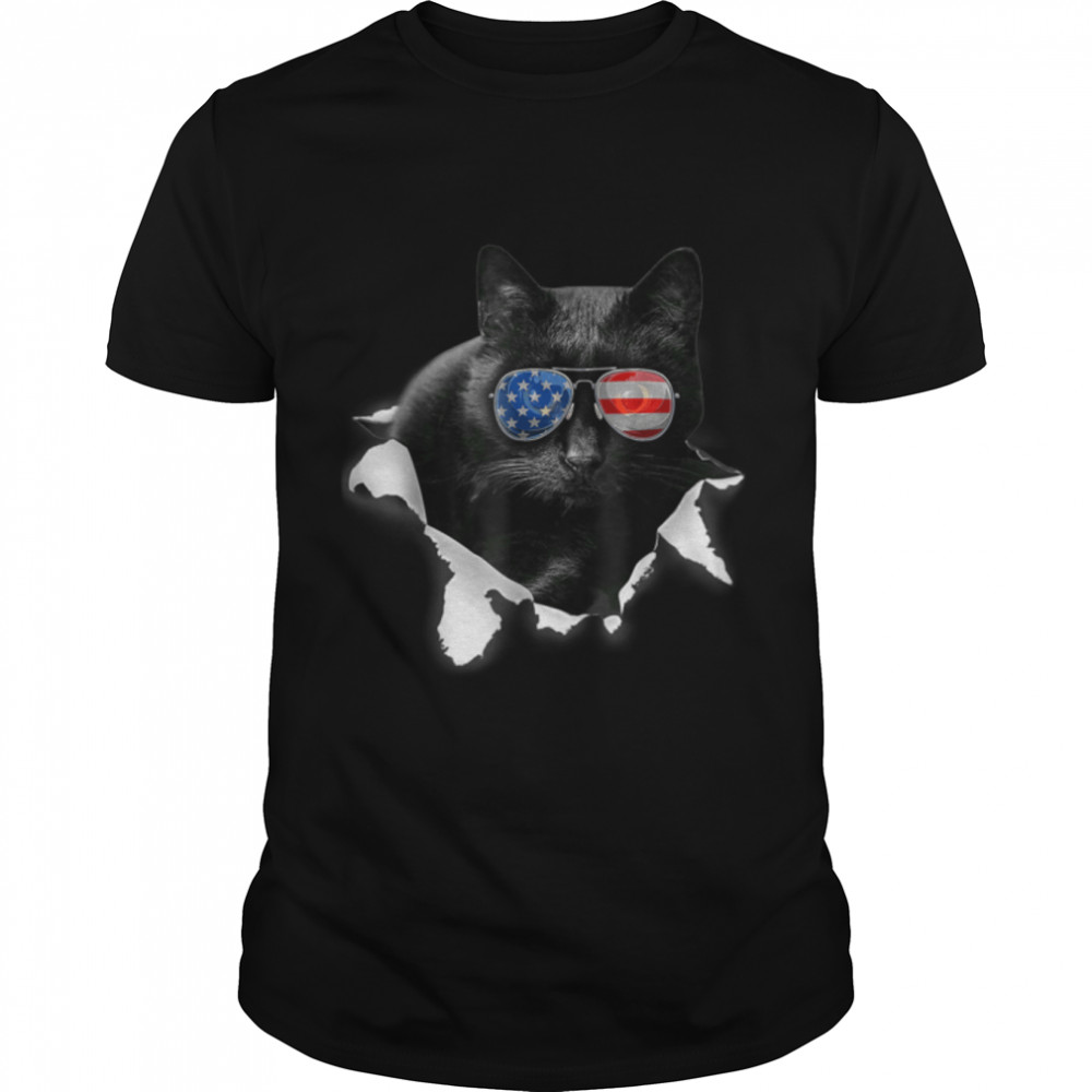 Black Cat Torn Cloth For Cat Lover, Cat Dad, Cat Mom T-Shirt B0B7F4HY6W