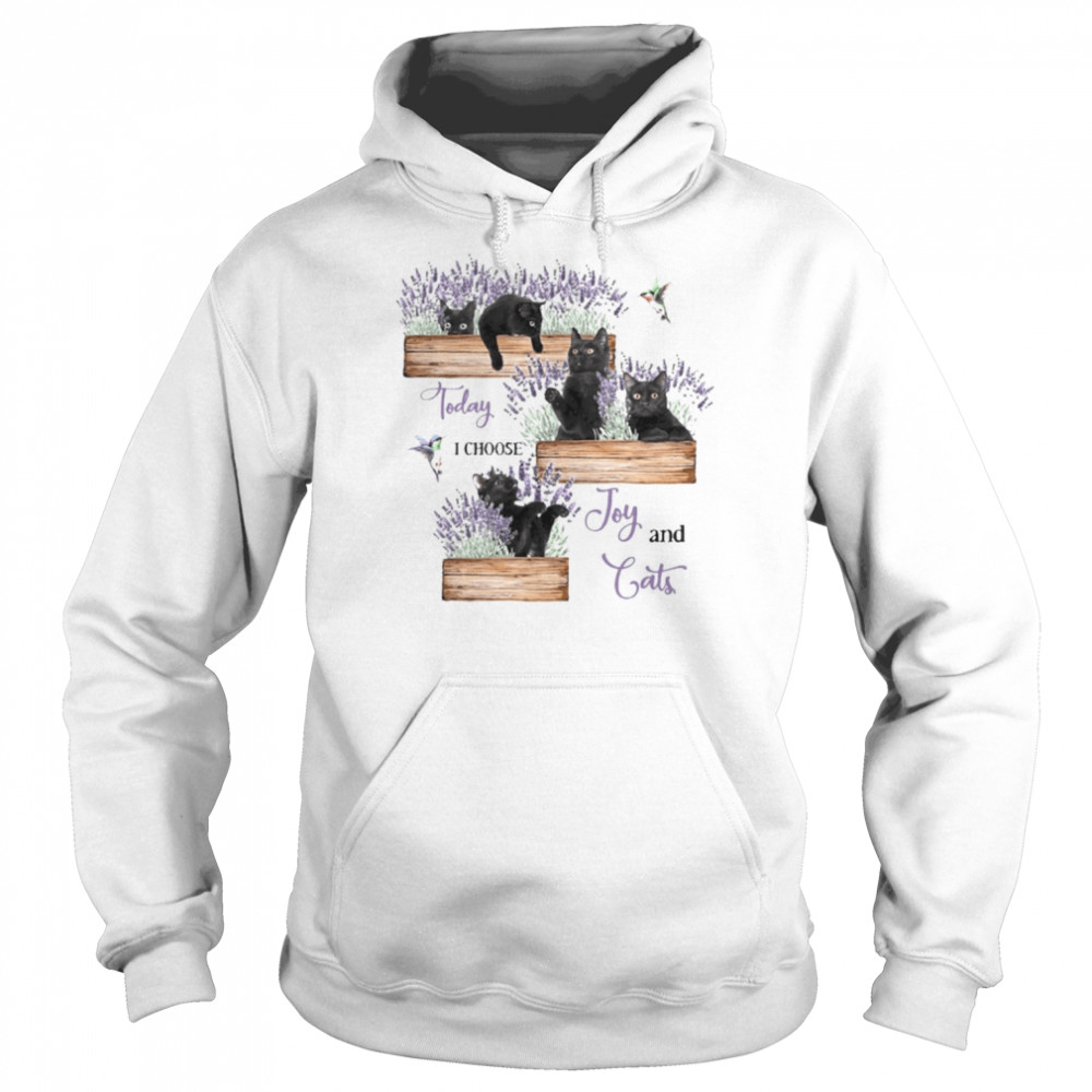 Today I Choose Joy And Cats  Unisex Hoodie