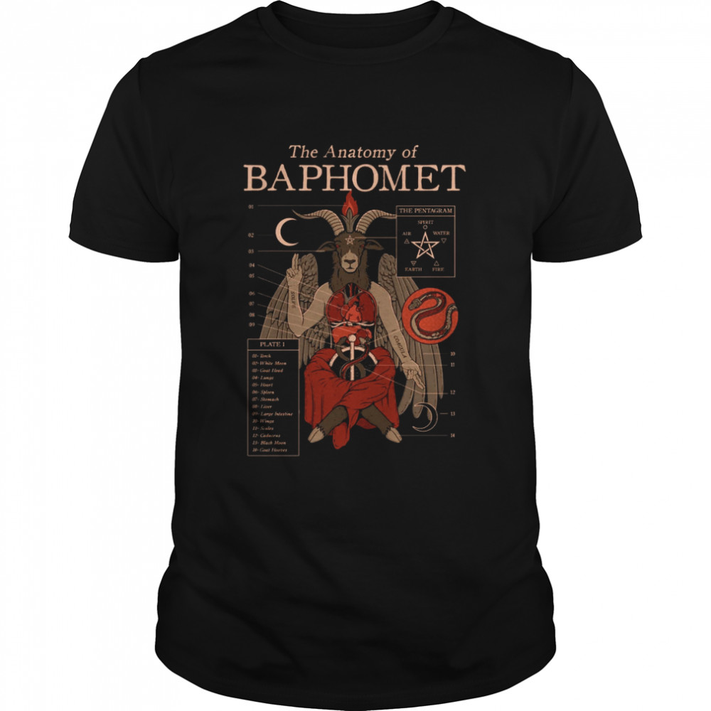 The Anatomy Of Baphomet Pastel Goth Harajuku Cryptid Kawaii shirt Classic Men's T-shirt