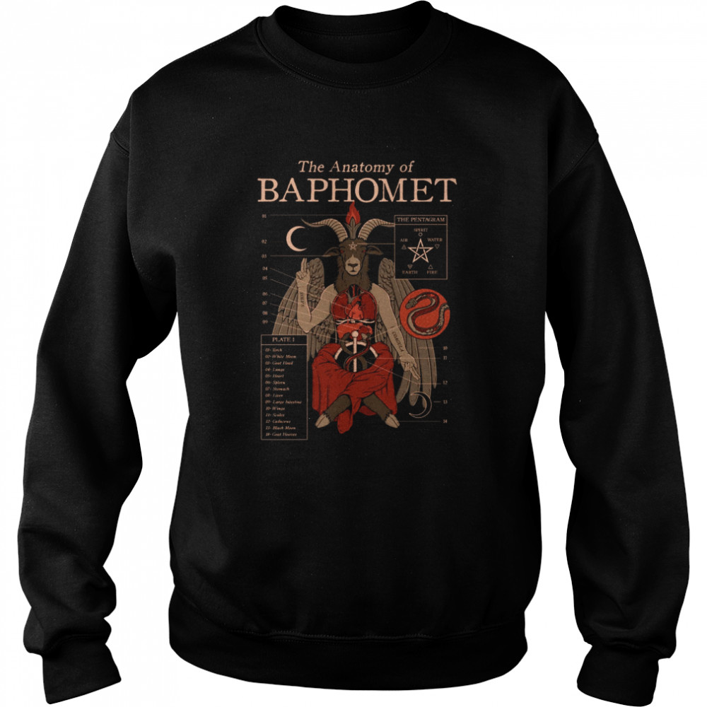 The Anatomy Of Baphomet Pastel Goth Harajuku Cryptid Kawaii shirt Unisex Sweatshirt