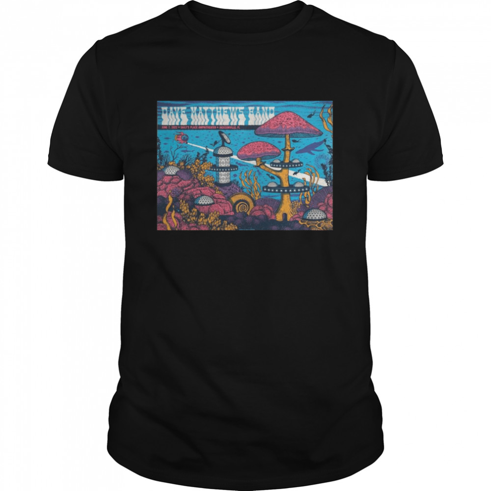 Status Serigraph Dave Matthews Band Jacksonville Poster Artist Edition 2022 shirt Classic Men's T-shirt