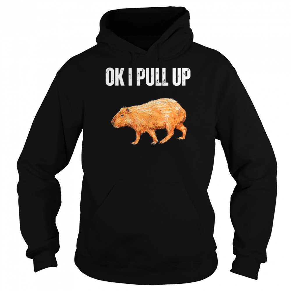 Ok I Pull Up Capybara Capybara Meme Ok I Pull Up T- Unisex Hoodie