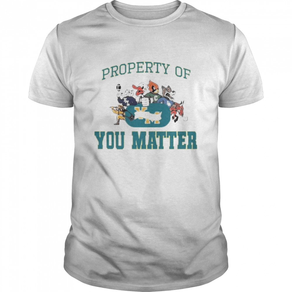 sport teams property of you matter shirt