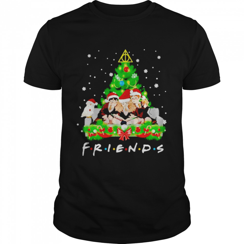 Friends Harry Potter And Ron And Hermione Merry Christmas shirt