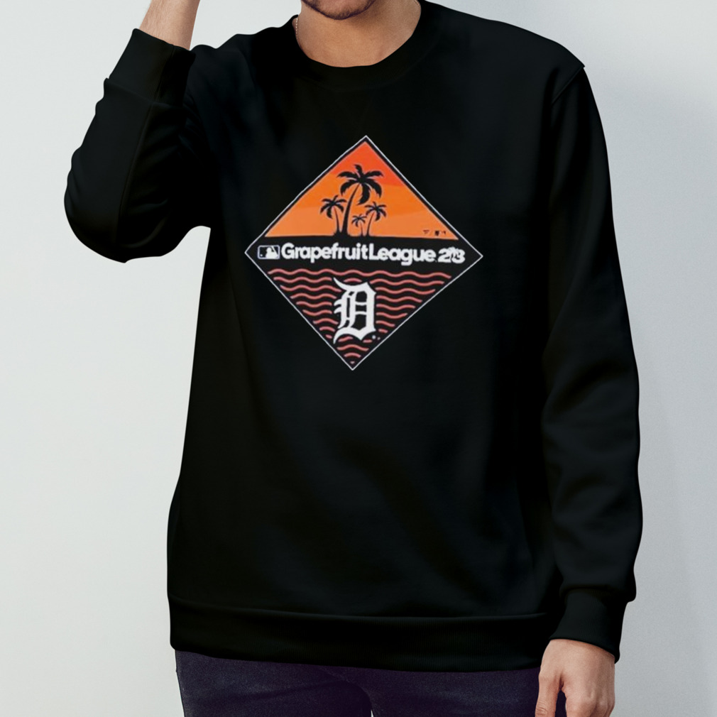 Detroit Tigers 2023 spring training vintage shirt, hoodie, longsleeve tee,  sweater