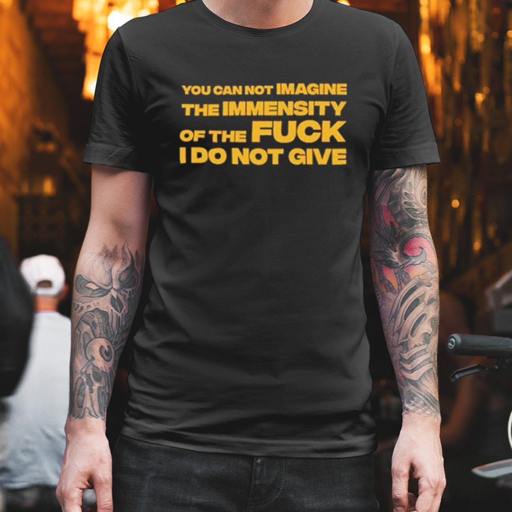 You can not imagine the immensity of the fuck I do not give shirt