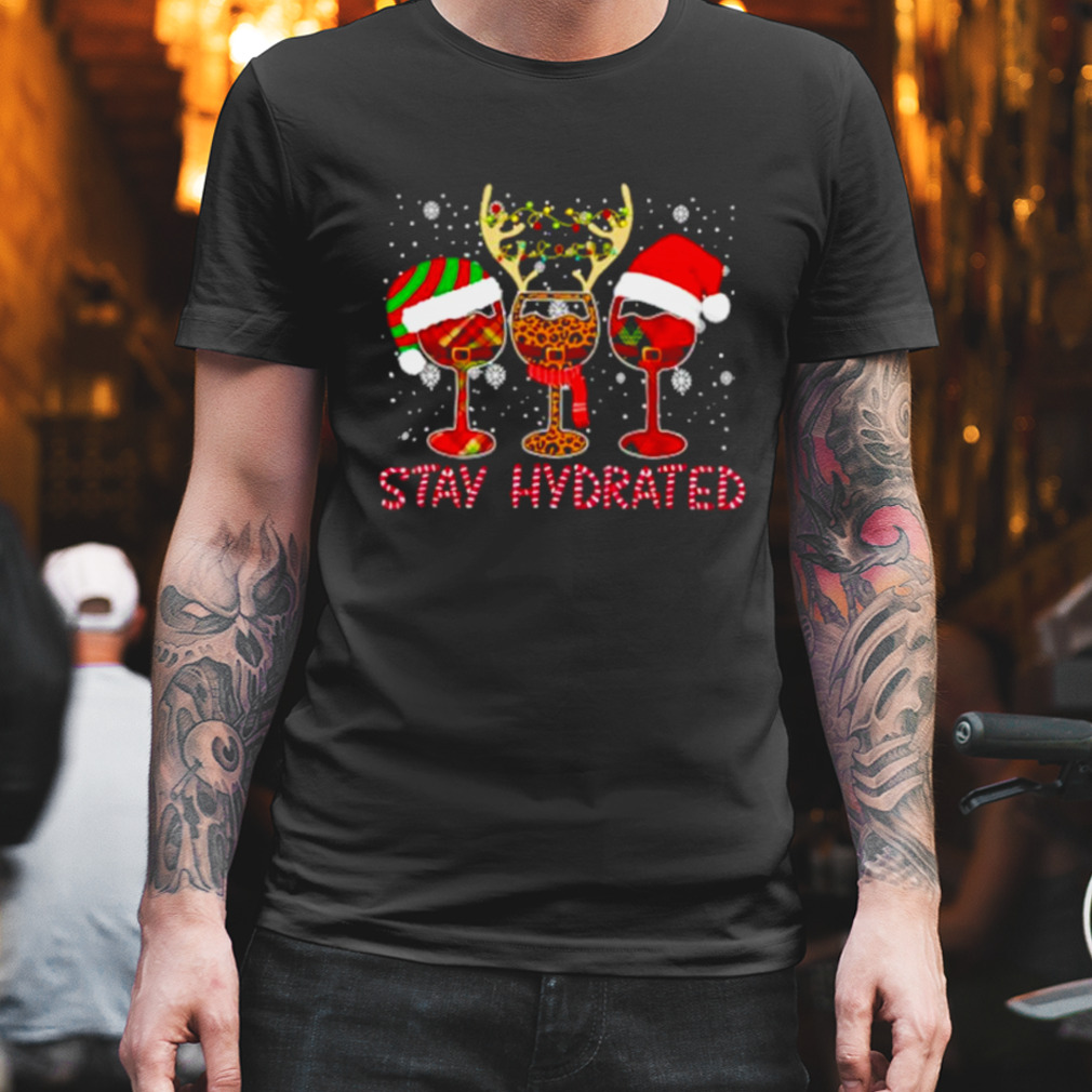 Wine Glasses Santa Christmas Humor Wine Lover Drink water shirt