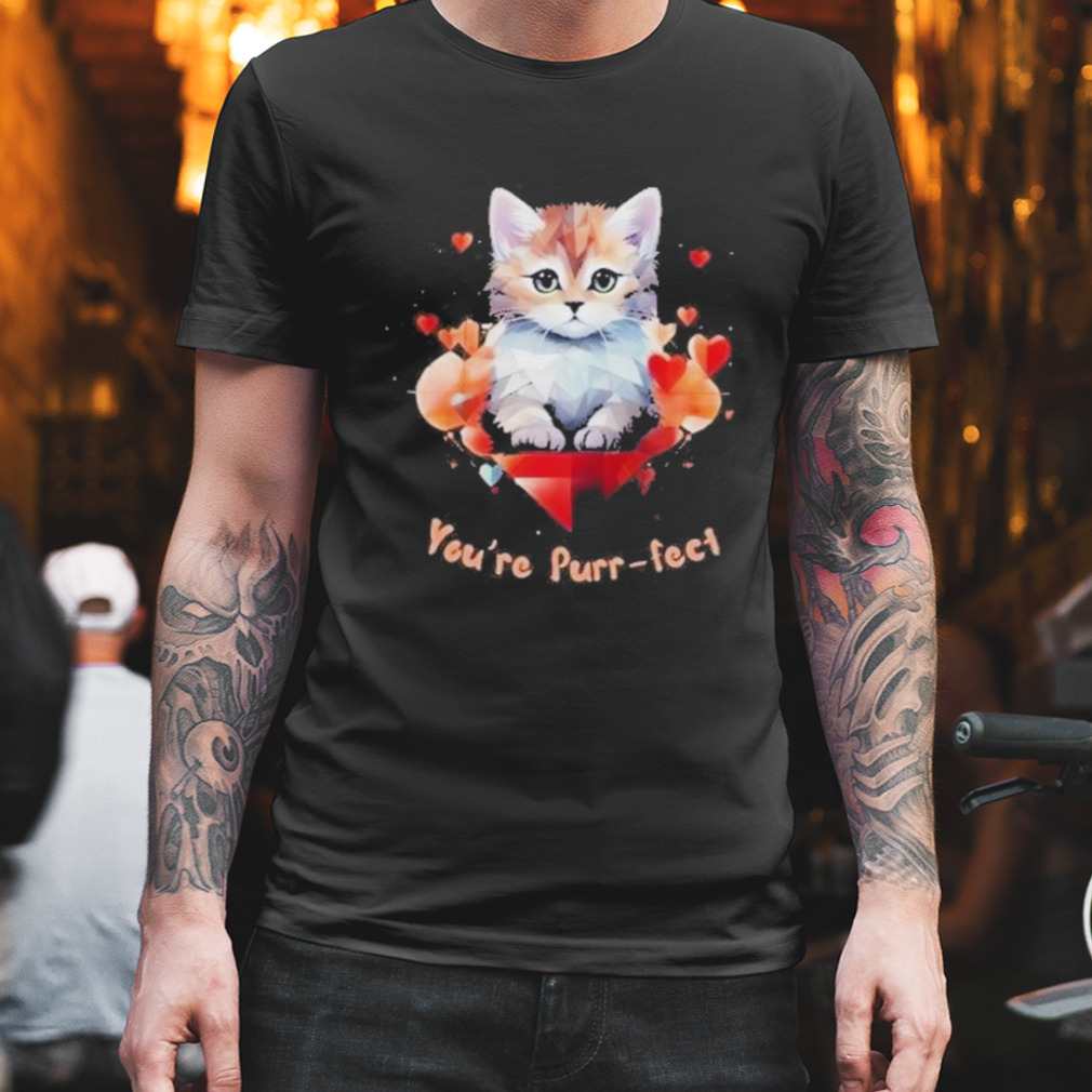 You’re Purrfect Cat Geometric Valentine Shirt